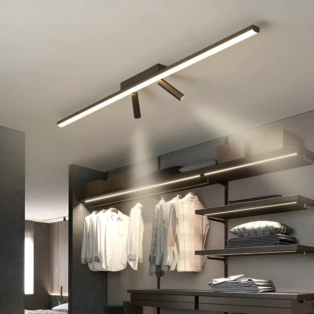 Acanthus Spotlight
