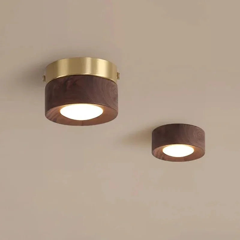 Dulce Downlight