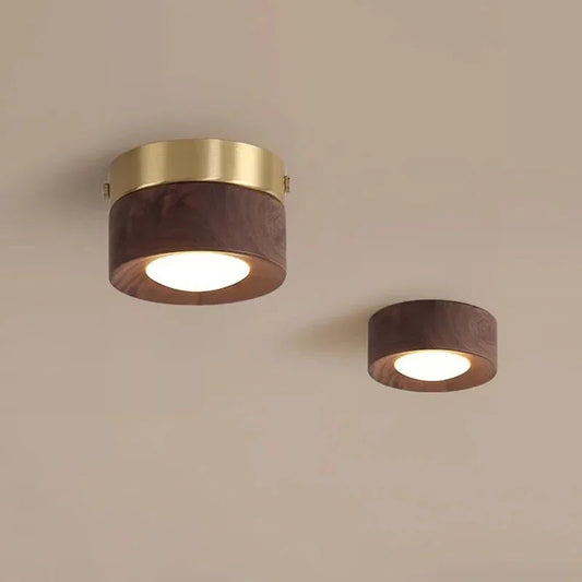 Dulce Downlight