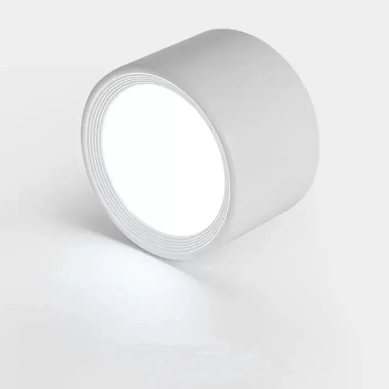 Wynard Downlight