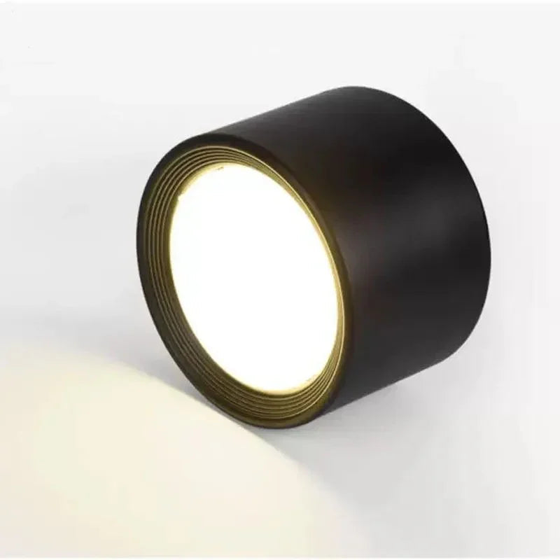 Wynard Downlight