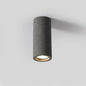 Surry Ceiling Spotlight