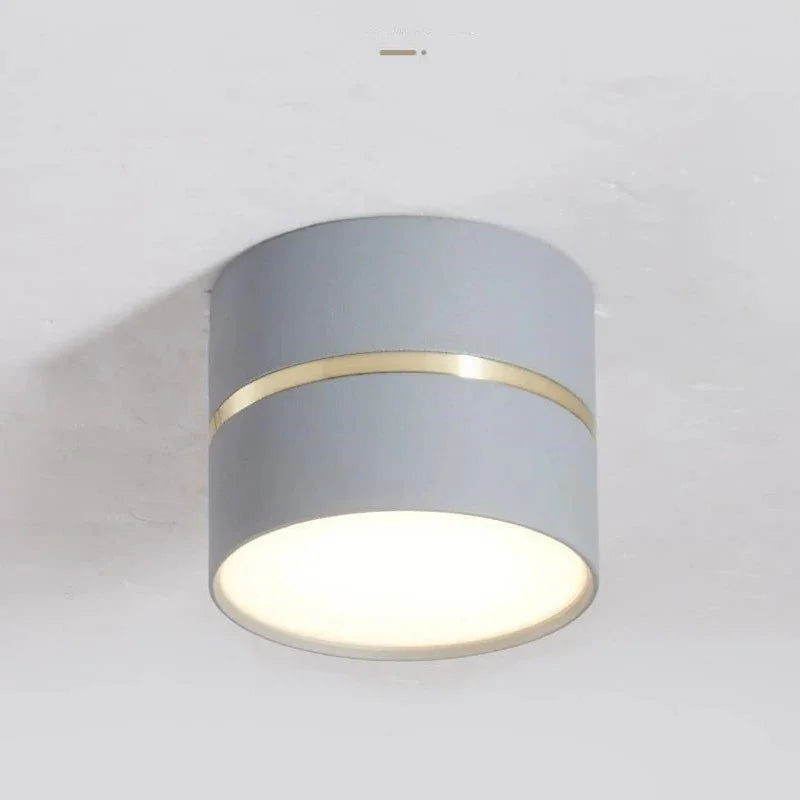 Mosman Downlight