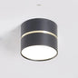 Mosman Downlight