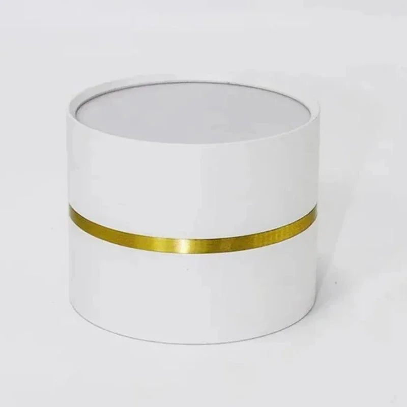 Mosman Downlight