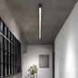 Vero Ceiling Light