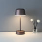 Solomon Portable Lamp