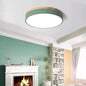 Nordic Glow Ceiling Lamp
