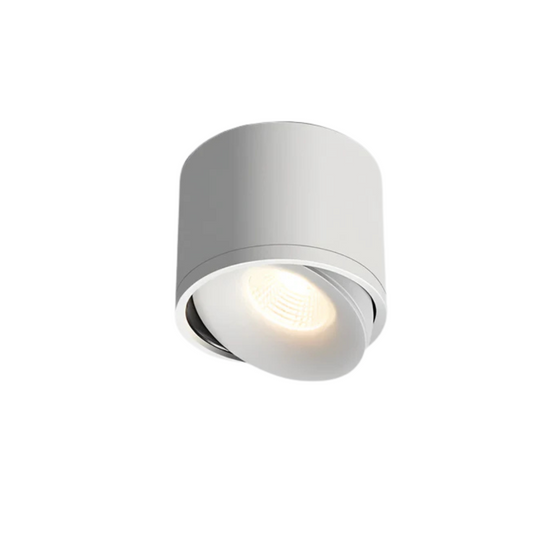Gannet Ceiling Lamp