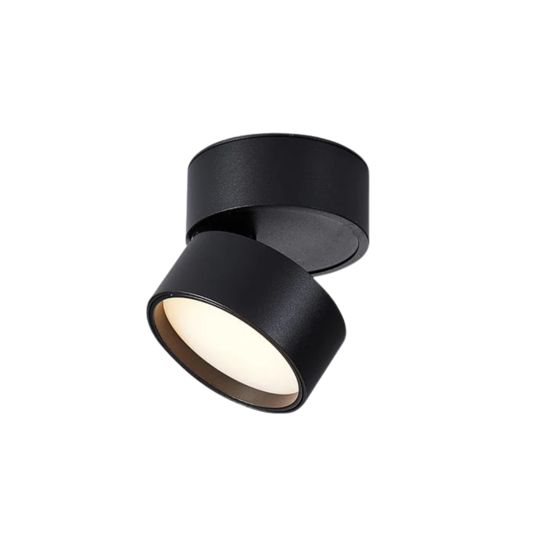 Guillo Adjustable Downlight