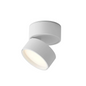 Guillo Adjustable Downlight