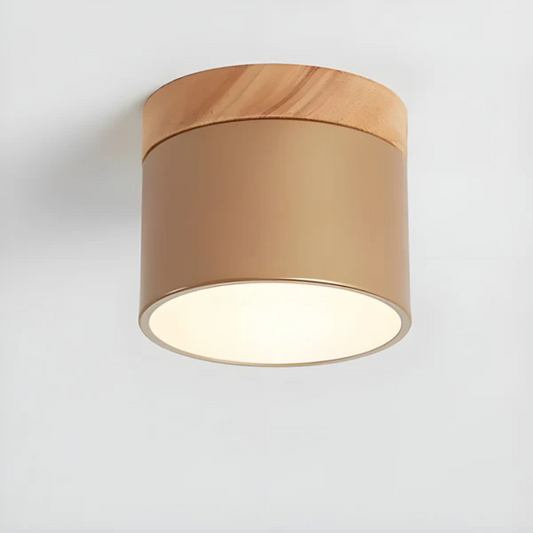 Bawley Downlight