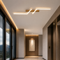 Elora Ceiling Light