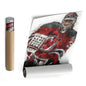 Martin Brodeur Canvas Art – New Jersey Devils Wall Decor